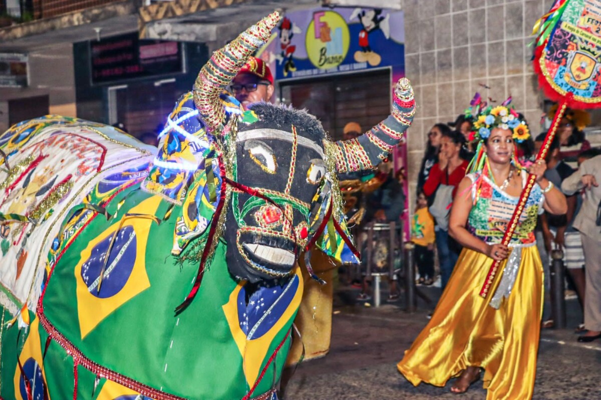 A magia do carnaval toma conta da praça de Quissamã durante o Fest Boi 2