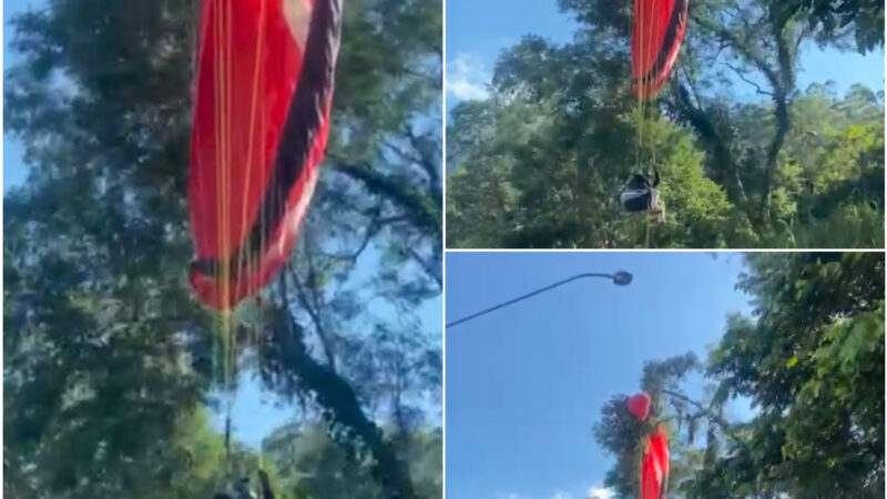 Piloto de parapente fica pendurado em árvore em Friburgo