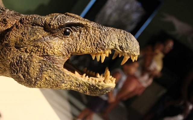Exposição de Dinossauros, do Cretáceo à Robótica, acontece no Museu Ciência e Vida, em Caxias