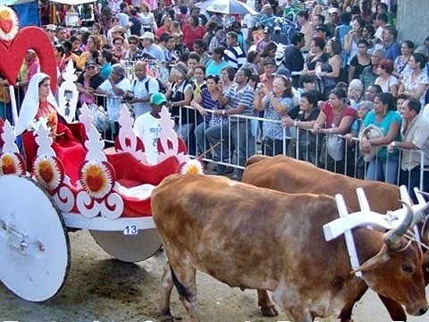 Festa dos carros de boi movimenta distrito de Raposo, em Itaperuna