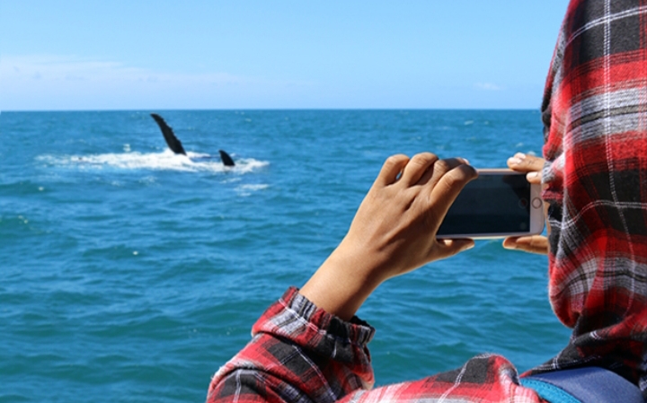 Temporada de baleias deve movimentar o turismo em Arraial do Cabo
