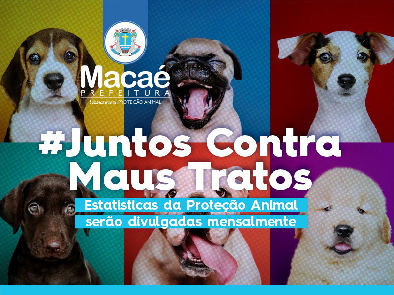 Estatísticas da Proteção Animal divulgadas mensalmente