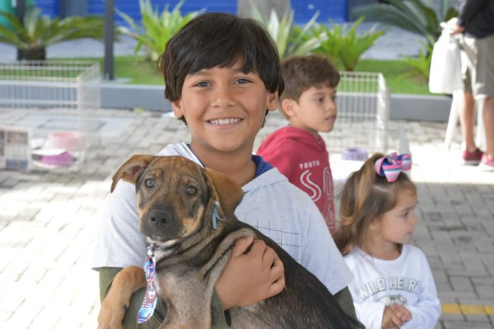 Feira de adoção: 12 animais ganham novo lar