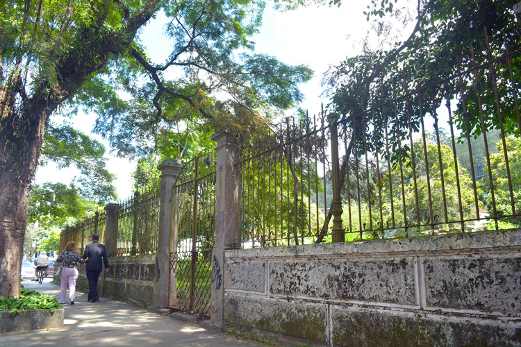 Consulta popular relâmpago causa repercussão