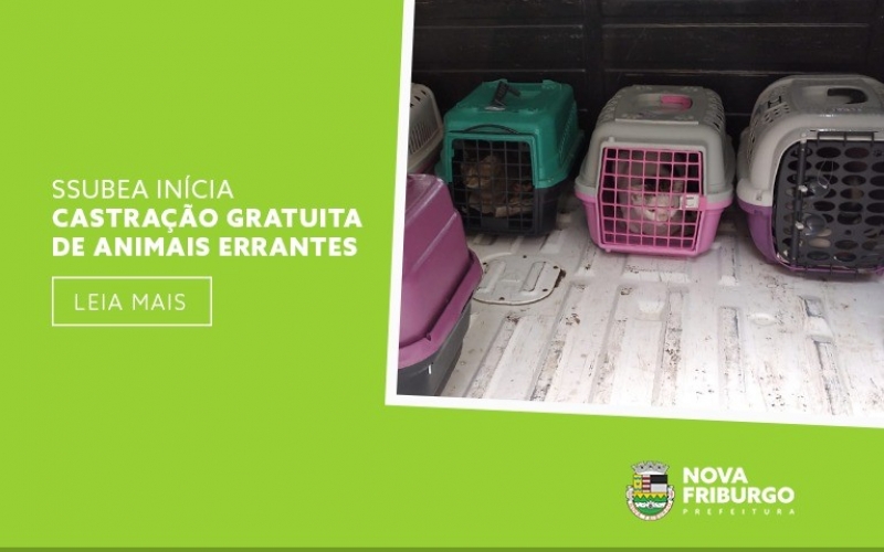 SSUBEA inicia castração de animais errantes.