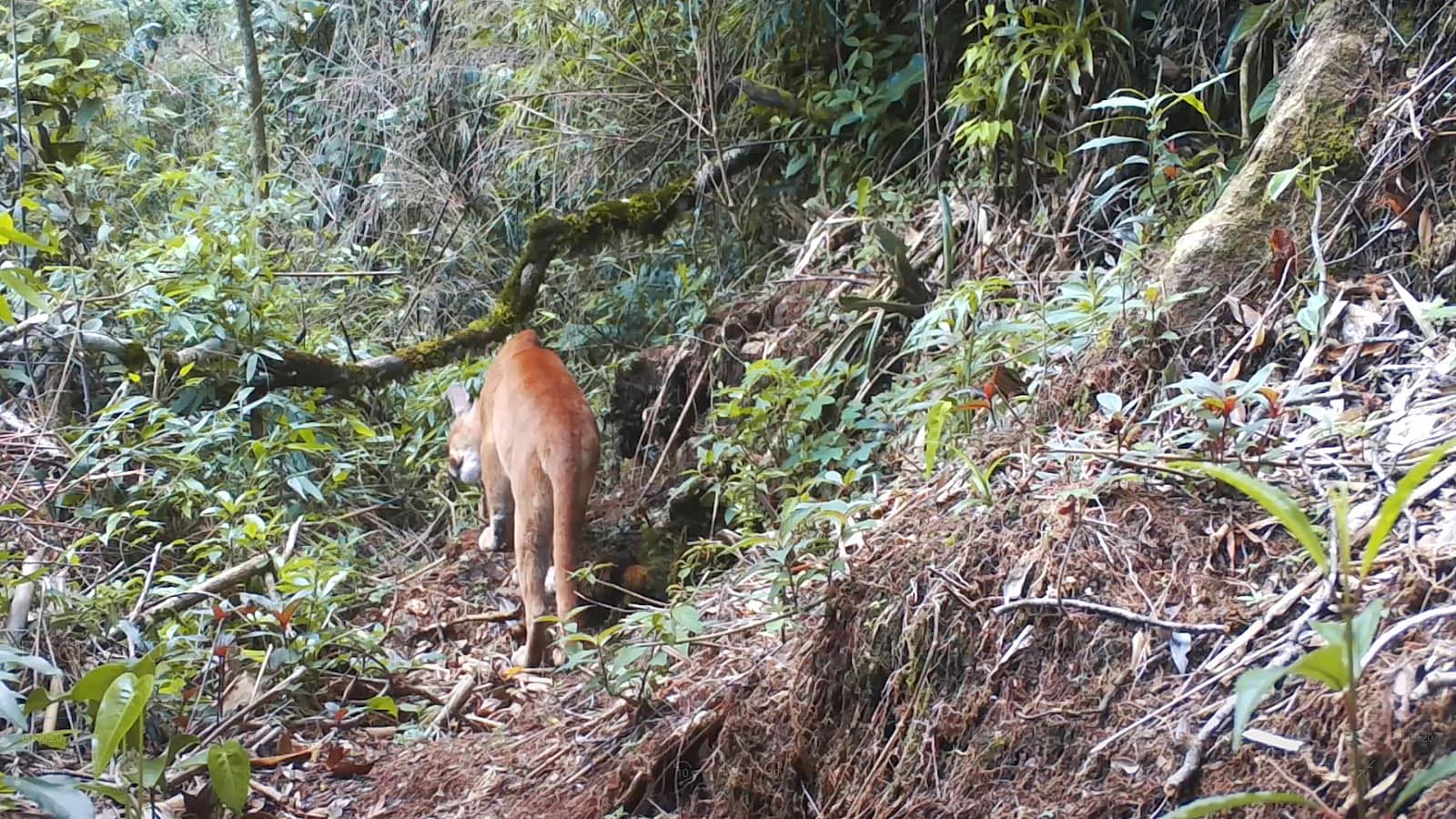 MP obriga vendedores de terrenos clandestinos  a devolverem dinheiro