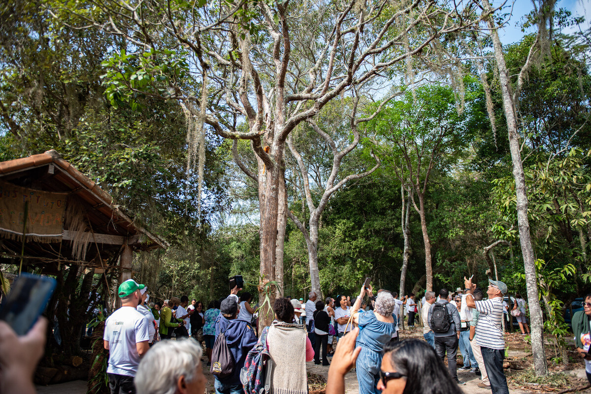 Prefeitura elabora Plano de Manejo do Parque do Mico-Leão-Dourado