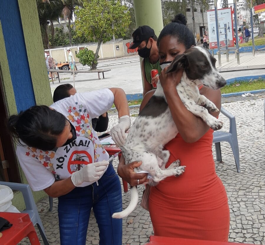 Cabo Frio retoma campanha de vacinação antirrábica