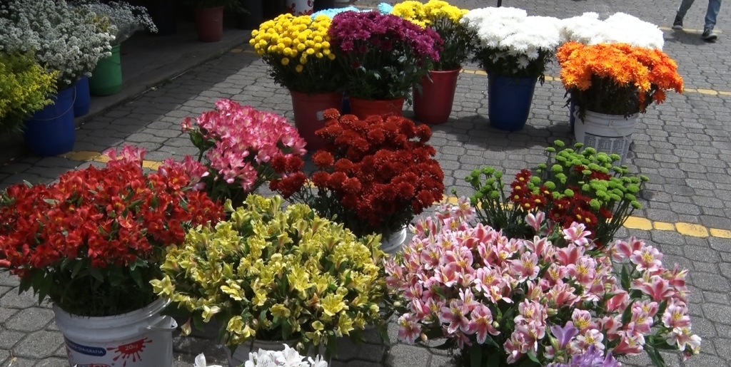 Finados deve registrar aumento de mais 20% nas vendas de flores em Friburgo