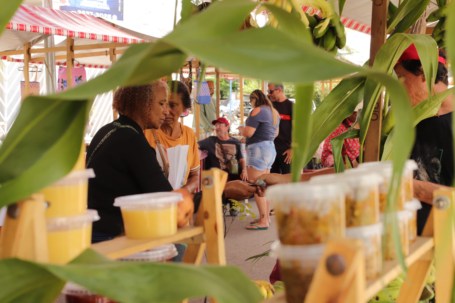 Feira de Agricultura Familiar agrada público