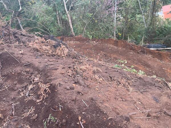 Polícia Ambiental flagra grande área desmatada no Cascatinha