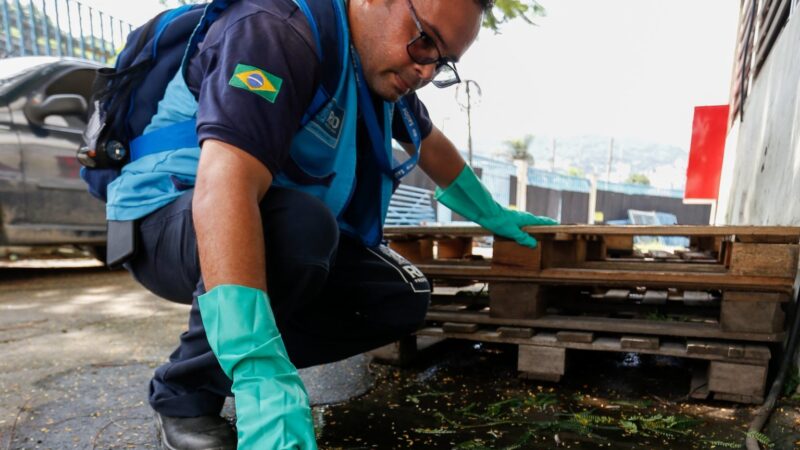 LIRAa: índice de infestação de mosquito da dengue na cidade do Rio é de 0,66%