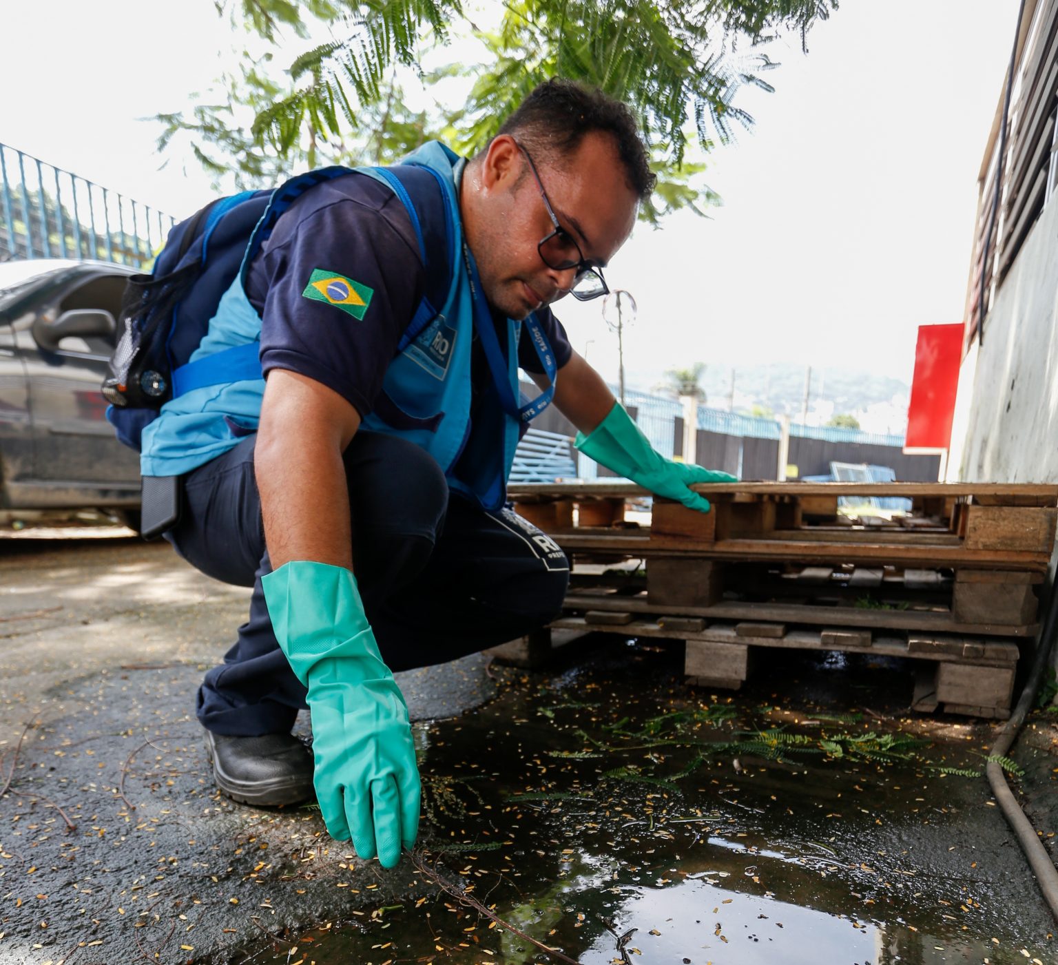 LIRAa: índice de infestação de mosquito da dengue na cidade do Rio é de 0,66%