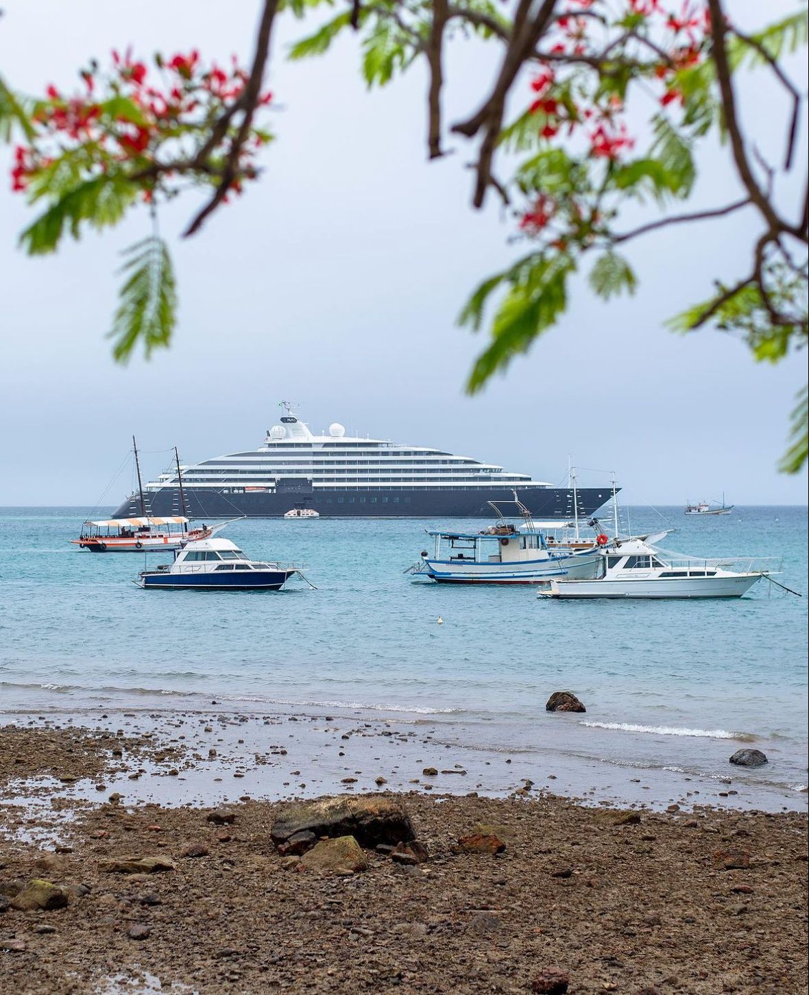 Temporada de transatlânticos chega a Búzios Impulsionando economia 