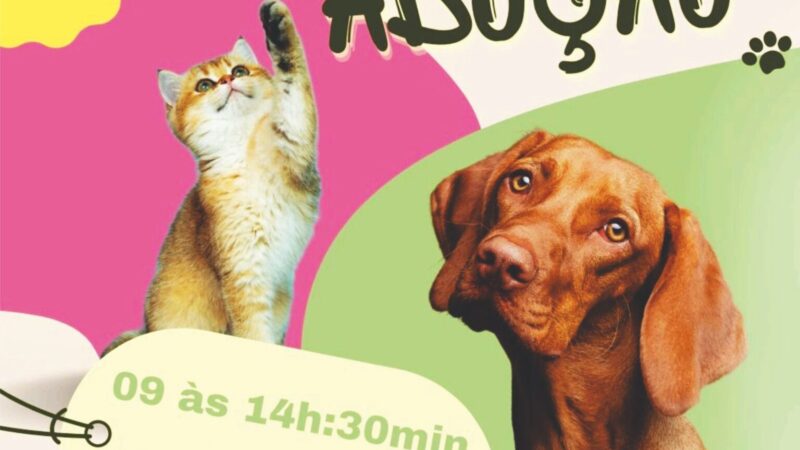 Feira de Adoção de Animais acontece neste sábado, na Praça da Ferradura, em Búzios