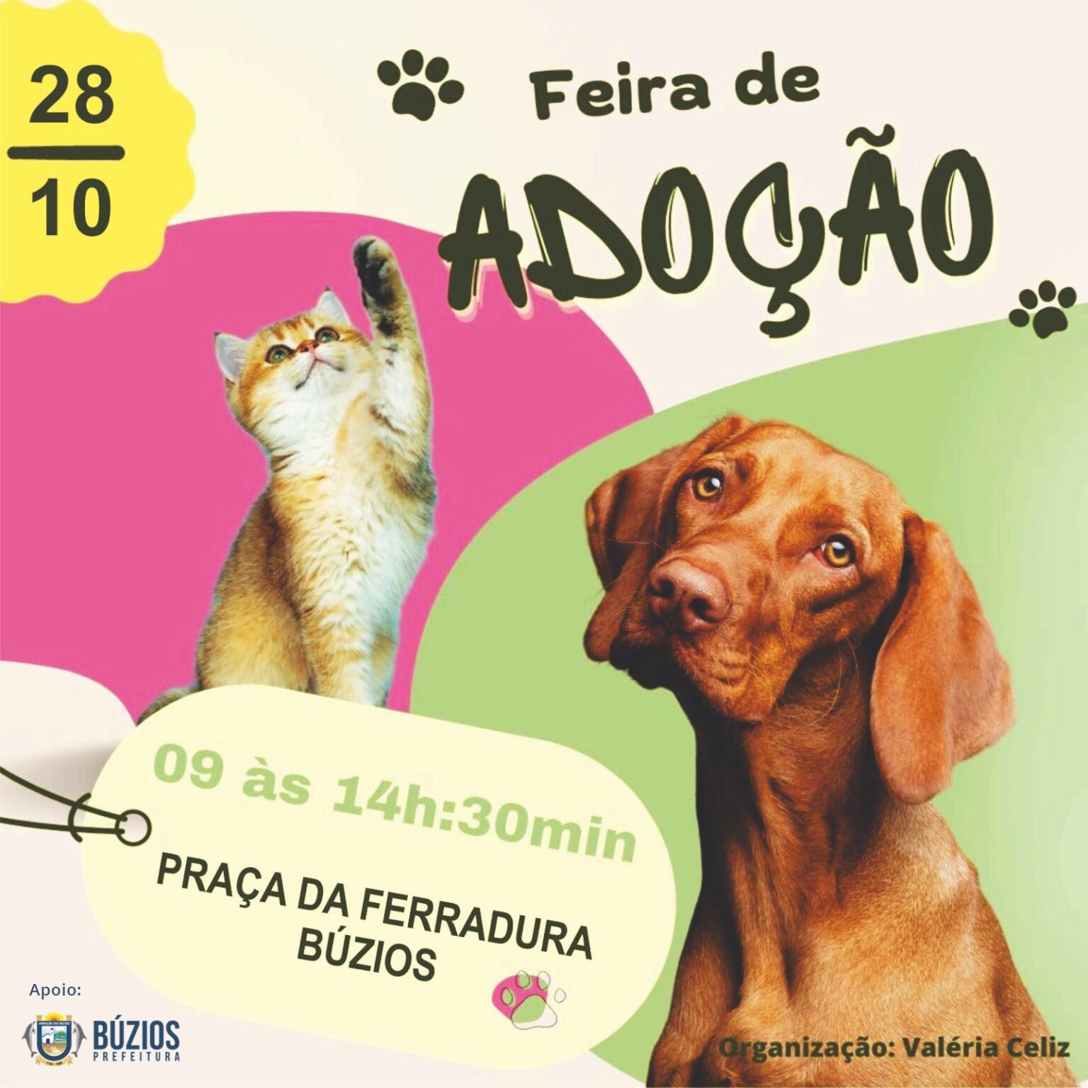 Feira de Adoção de Animais acontece neste sábado, na Praça da Ferradura, em Búzios