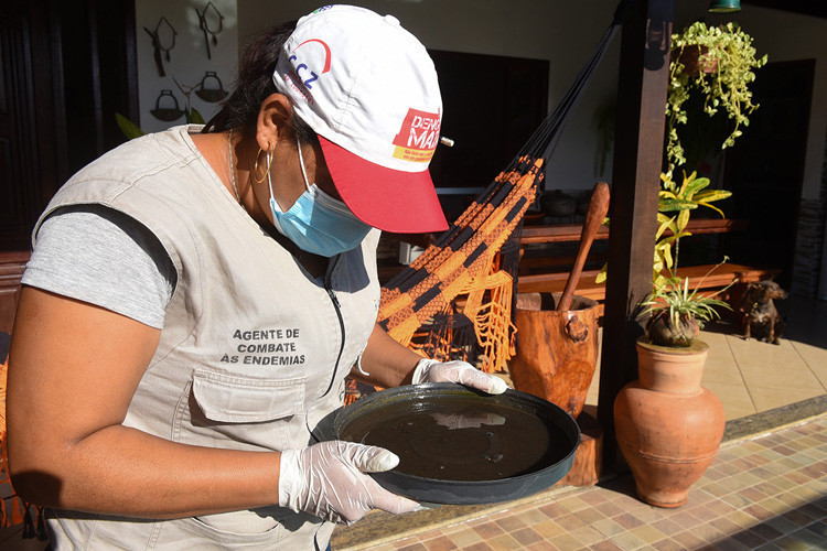 Saúde alerta população quanto às medidas de prevenção da dengue e febre maculosa