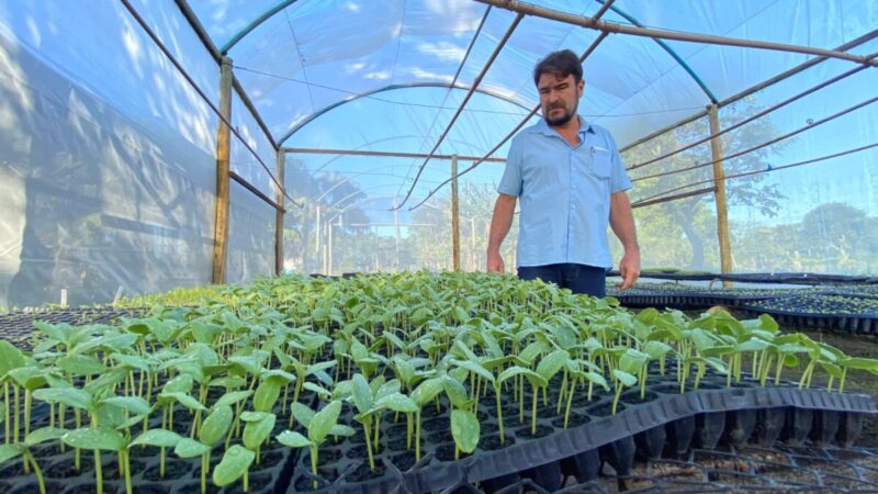 Horto Municipal promove pesquisas de novas tecnologias e auxílio aos pequenos produtores