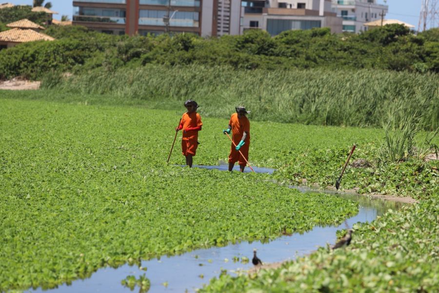 Lagoa de Iriry ganha eco-barreiras