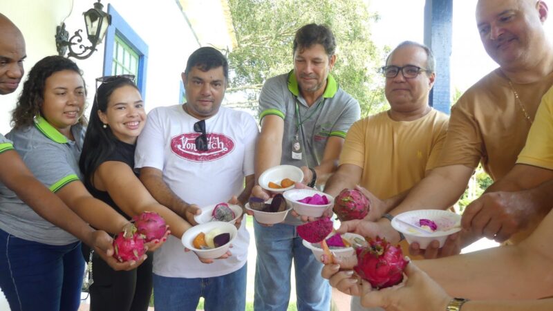 Chefs se reúnem em fazenda de Maricá em busca de novos pratos orgânicos