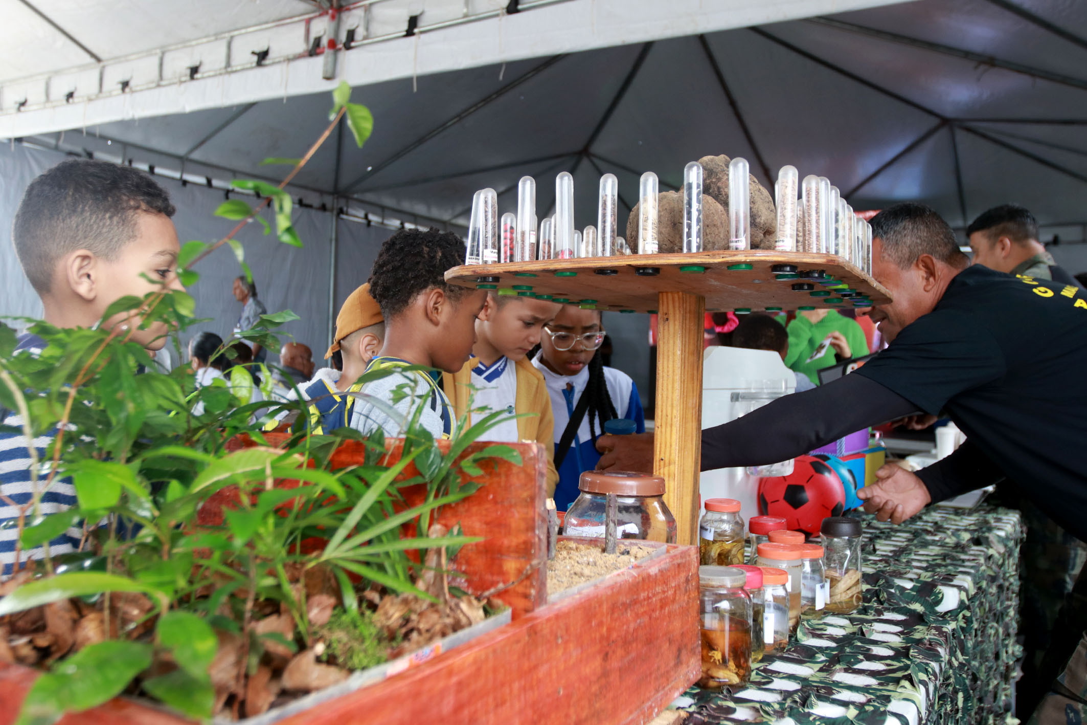 Abertura do Junho Verde acontece na Praça do Bar do Coco