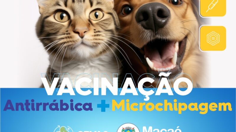 Campanha Antirrábica começa na próxima semana com atendimento para microchipagem