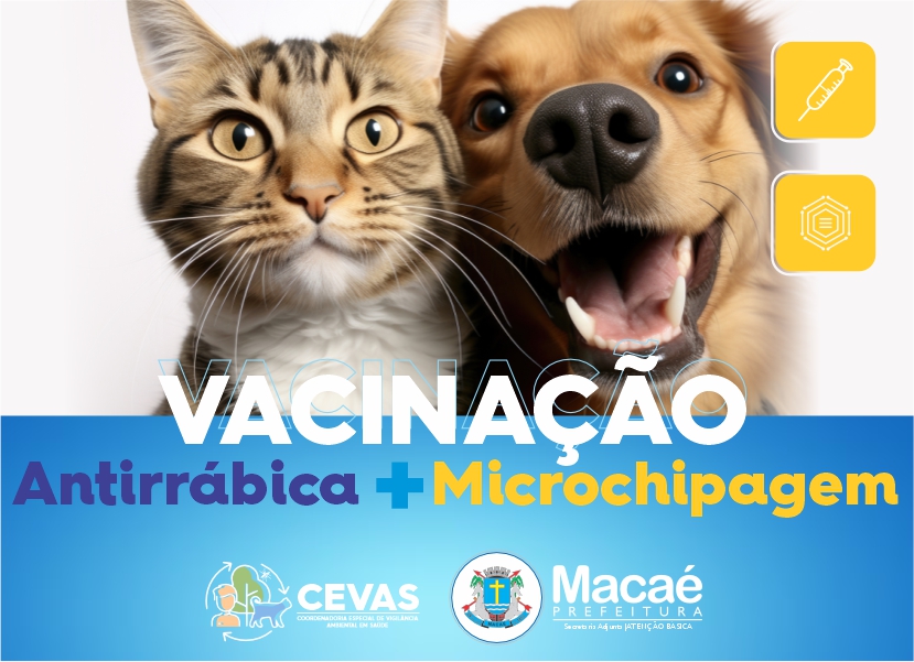 Campanha Antirrábica começa na próxima semana com atendimento para microchipagem