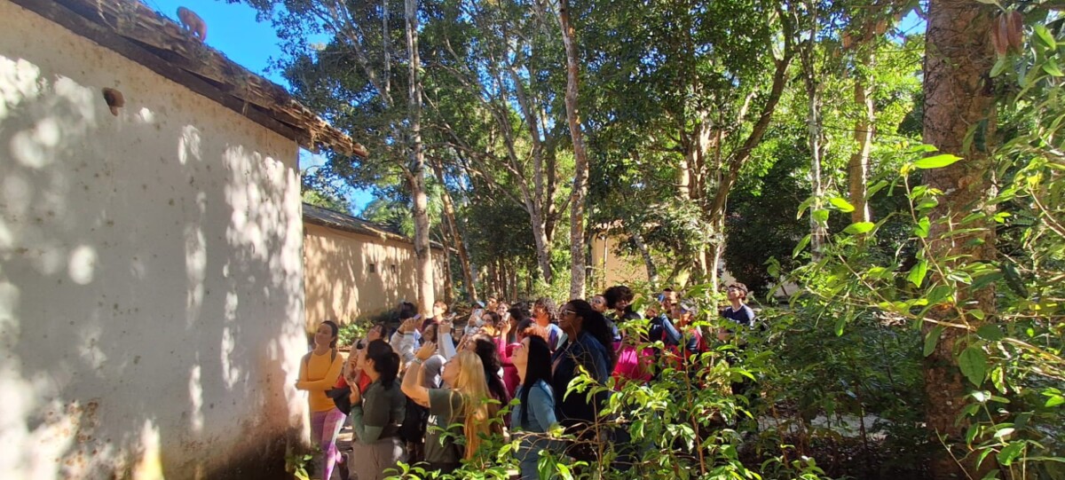 Parque do Mico-Leão-Dourado recebe universitários da UFRJ para visita técnica e aula de campo