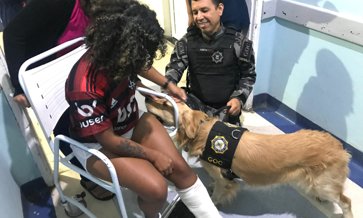 Cão da Guarda Municipal participa de socialização na pediatria do HFM