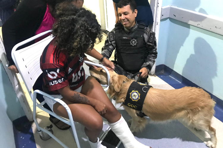 Cão da Guarda Municipal participa de socialização na pediatria do HFM