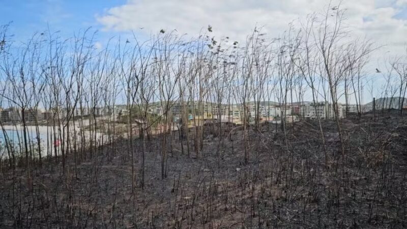 Importante sítio arqueológico do Morro do Índio, em Cabo Frio, sofre com incêndio