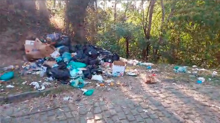 Denuncia de lixo espalhado no acesso ao Pico do Caledônia