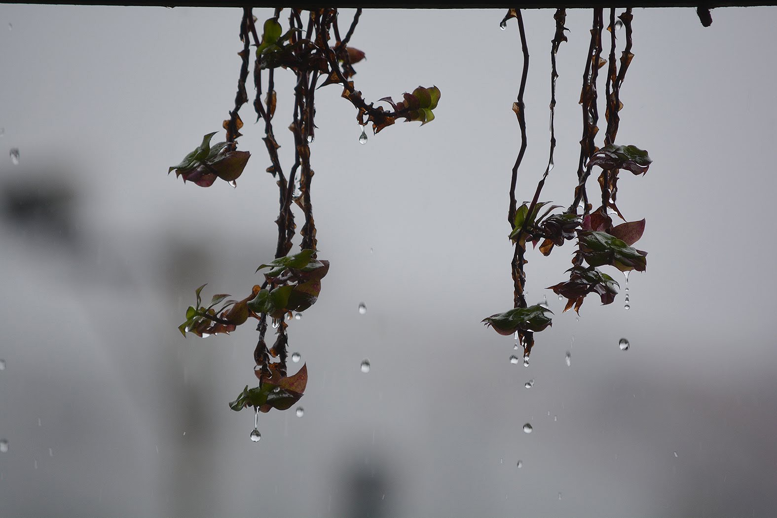 Brasil terá pior onda de frio do ano nesta semana