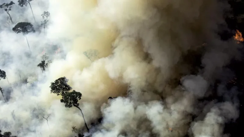 Amazônia lidera emissão de gases poluentes em meio a queimadas