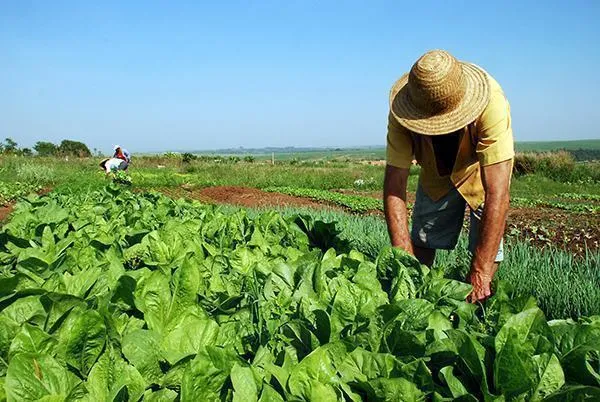 Governo destina mais de 2 milhões de hectares para reforma agrária e territórios indígenas