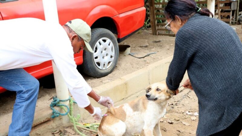 Quissamã já vacinou 4 mil cães e gatos e vacinação antirrábica segue nos bairros