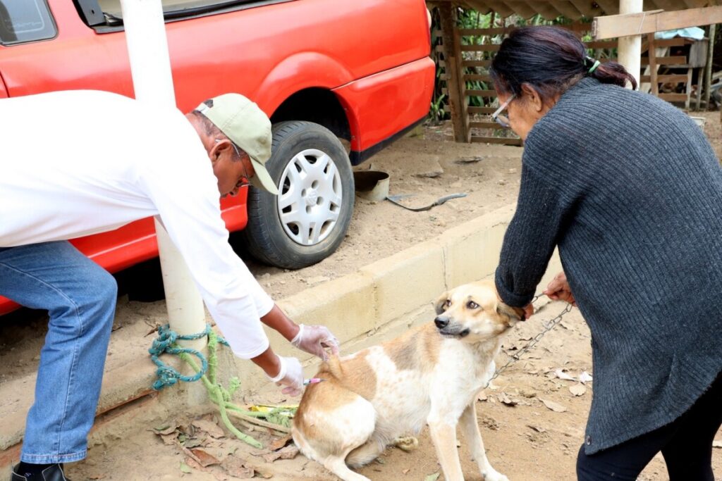 Quissamã já vacinou 4 mil cães e gatos e vacinação antirrábica segue nos bairros