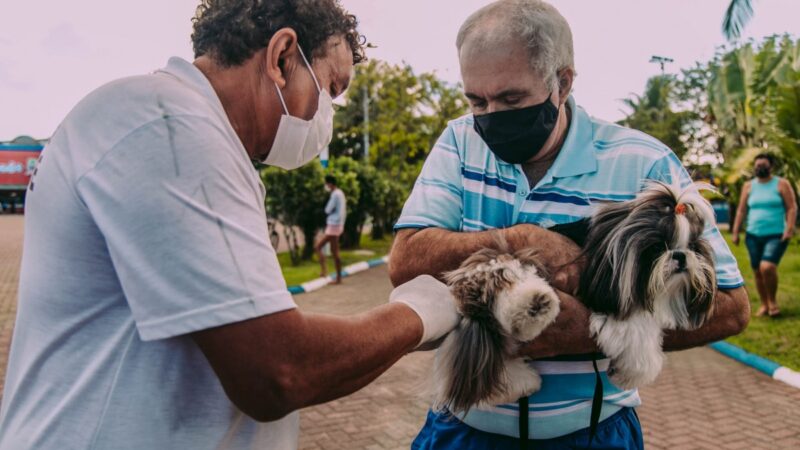 Cabo Frio realiza terceira etapa da Campanha Antirrábica 2024