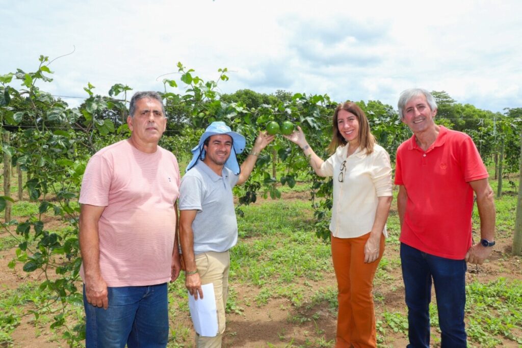 Prefeitura e Embrapa avançam na transferência de tecnologia aos agricultores de Quissamã