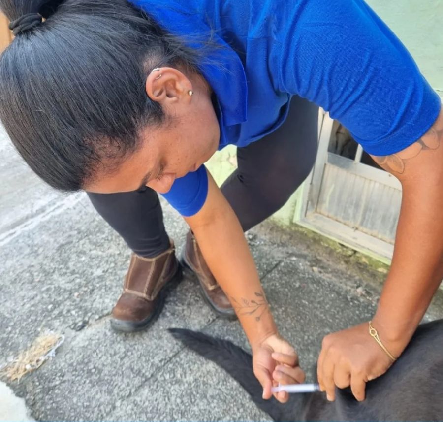 Segunda etapa da vacinação antirrábica acontece neste sábado, 7