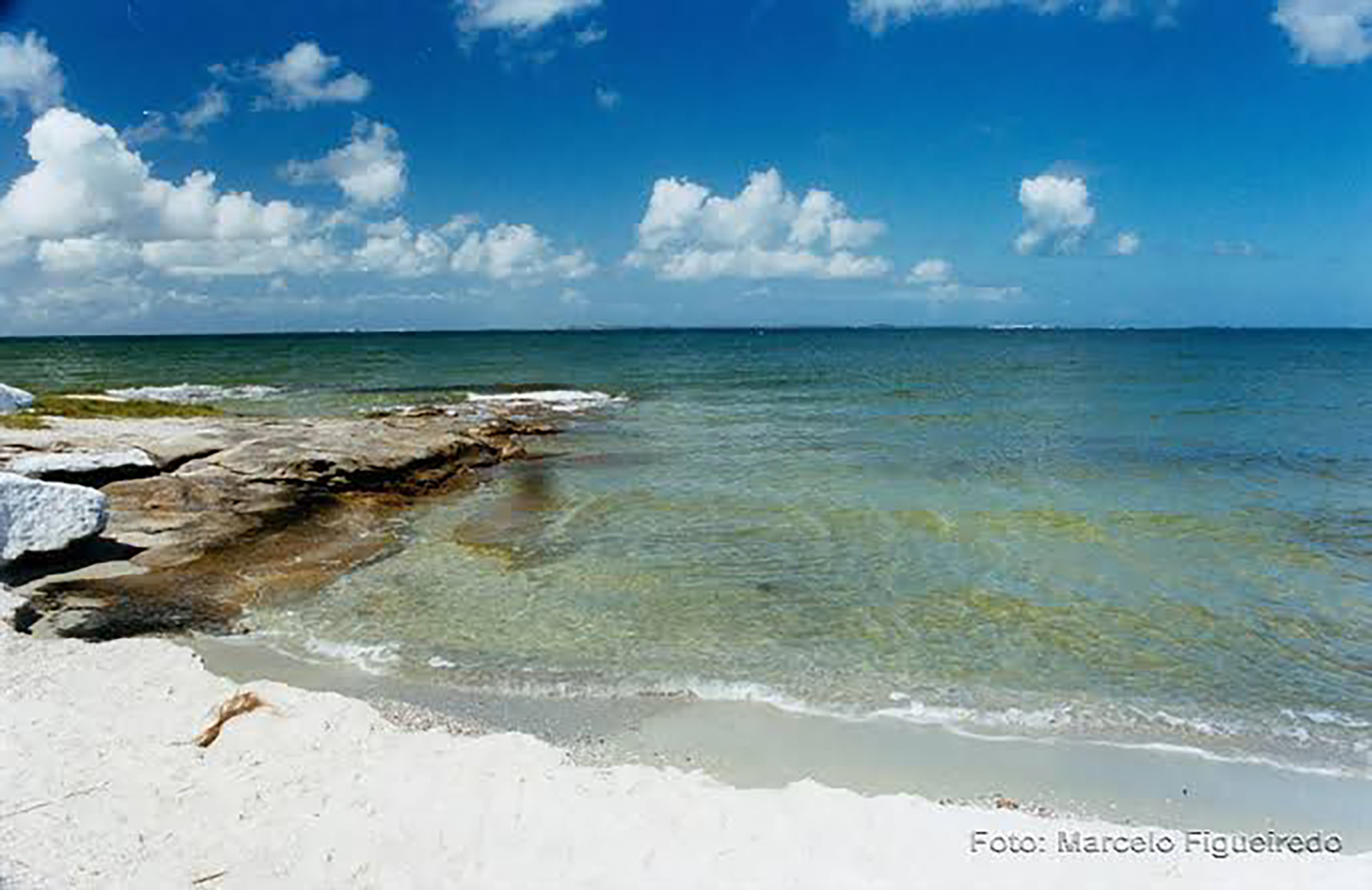 Estudo do Inea revela praias contaminadas na Região dos Lagos