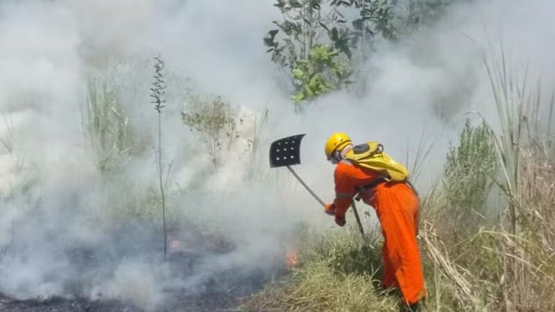 Morte de idoso em Maricá pode estar ligada à aumento de mais 50% de casos de incêndio só em fevereiro