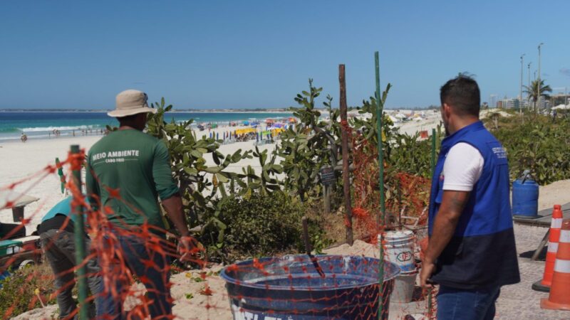 Intervenções na orla garantem conservação da restinga e acessibilidade segura em Cabo Frio