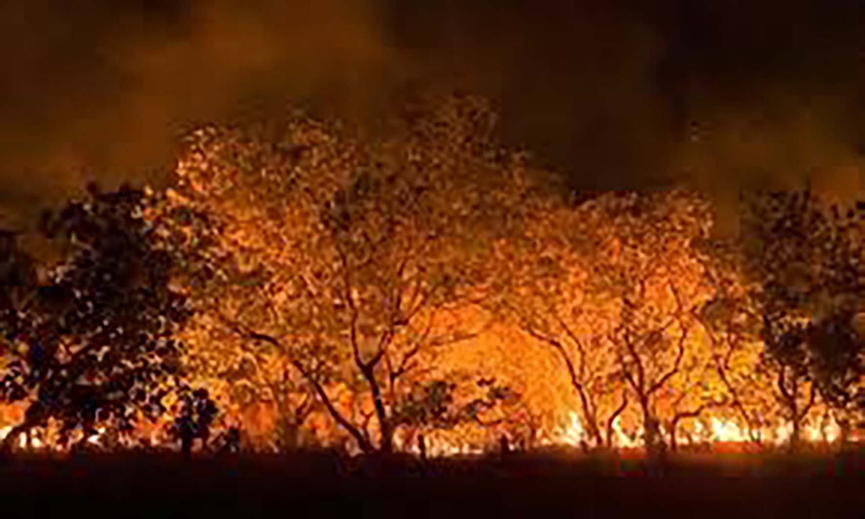 Cabo frio alerta risco elevado para incêndios florestais e ações de prevenção são intensificadas