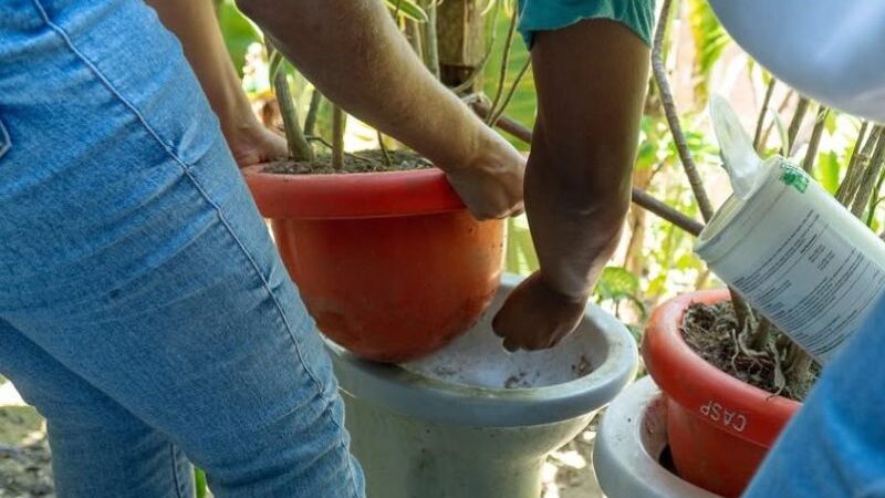 Silva Jardim intensifica ações de combate à dengue nos bairros e comunidades da cidade