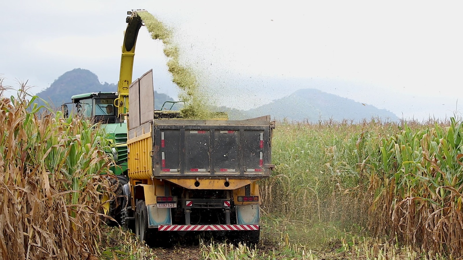 Poder público de Macaé diversifica economia e ganha destaque à nível estadual com agronegócio