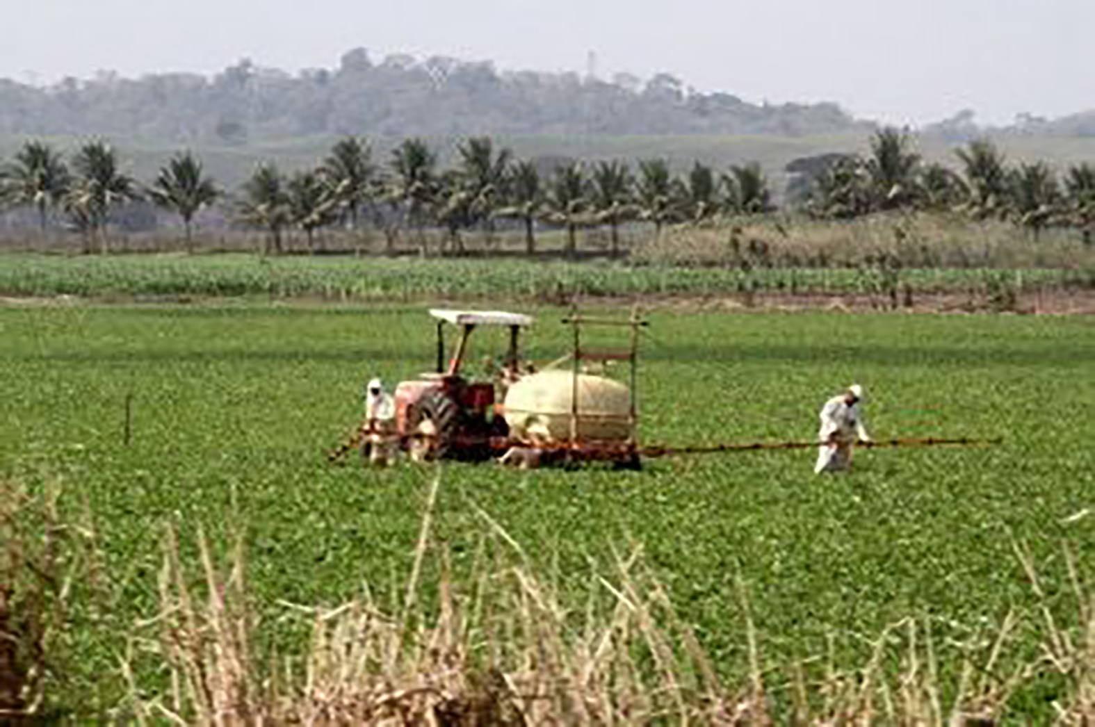 Macaé amplia atuação no agronegócio e entra no mercado internacional de grãos