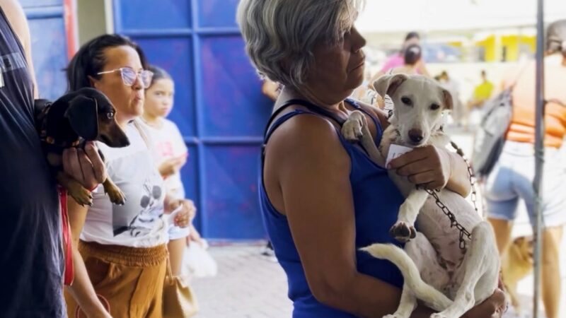 Cabo Frio promove vacinação antirrábica para cães e gatos neste sábado (15)