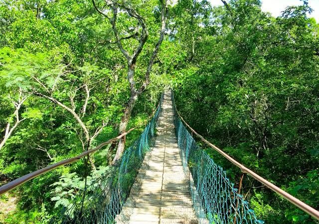 Iphan avalia projeto de visitação sustentável na duna Boa Vista de Cabo Frio