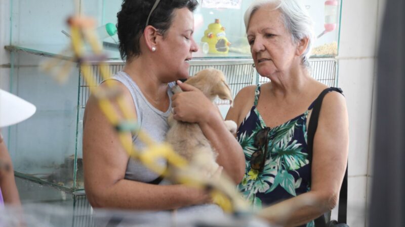 Feira de Adoção retorna com novos pets à espera de um lar em Cabo Frio